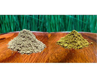 What are the Best Kratom Strains?